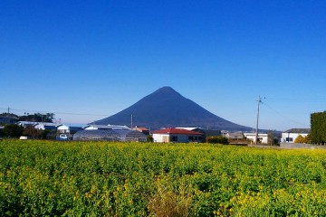 IMG_20180127_101733