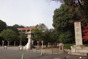 DSC08454